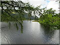 NN4819 : Loch Voil at Aird Bheathag by Peter Wood