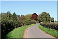 Badger Lane, leading to Beckbury in Shropshire