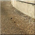 Pathway near the stable block, Wollaton Hall