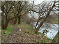 Path by River Lea or Lee