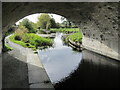 Under the Cefn Railt Bridge near Berriew