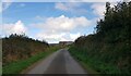 Approaching Trenewydd Fawr