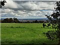 View southeast from Trimpley Lane near Park Attwood