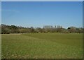 Grazing and woodland, Burton Heath