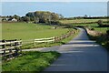 Road and pastures, St Breock