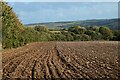 Farmland, Withiel