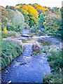 River Wansbeck at Highford Bridge