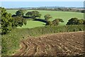 Farmland, Withiel