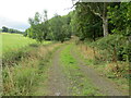 Track and path to Glentarf via Newburgh Wood