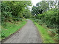 Minor road with Passing Place near to Newburgh Cottage