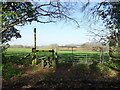 Field entrance and footpath, Brockhill 