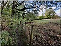 North Worcestershire Path at Eymore Wood