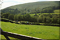 East Webburn valley at Pitton