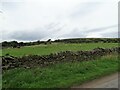 Dry stone wall along Knitsley Lane