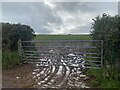 Muddy field entrance