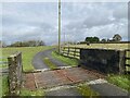 Cattle grid at Llwynmelyn