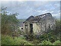 Ruined building at Llawr Cwrt