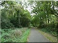 Taff Trail in scrub and woodland