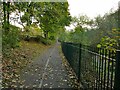 Cycleway alongside the river Dane