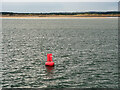 SD2700 : Liverpool Bay, Crosby Channel Marker Buoy C14 by David Dixon