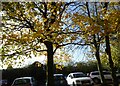 Car park at Harwood medical centre