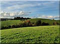 Farmland near Crundalls Farm