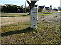 Poole 5 - Milestone on Blandford Road