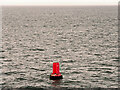 SD1903 : Liverpool Bay, Queen's Channel Marker Buoy Q6 by David Dixon