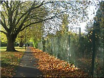 SP3278 : Footpath to Albany Road, Spencer Park by E Gammie