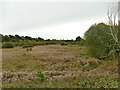 Old River Bed SSSI