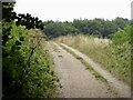 Track on Shillingstone Hill