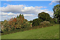 Pasture close to Beckbury in Shropshire