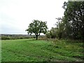 Field path from Moorside