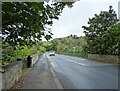 Looking over Allensford Bridge