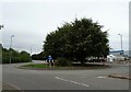 Roundabout on Manvers Way (A6023)