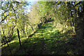 Footpath up to Dolly Lane