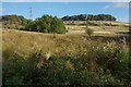 Hillside above Dolly Lane