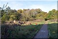 Maintenance crew, Oakwell Hall Country Park, Birstall