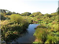 Wallis Pond viewed from Wallis Bridge