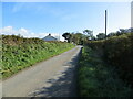 Hedge-lined minor road near Fleming