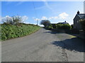 Minor road at Henne Lodge Farm