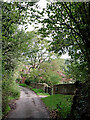 Lane in Higford, Shropshire