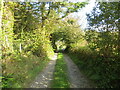 Enlclosed track and footpath linking Penmorgan with Gawstad-b?ch