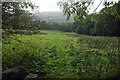 Footpath to Furness Vale