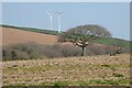 Farmland, St Newlyn East