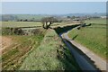 Lane and farmland, St Newlyn East