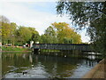 TQ2782 : Footbridge in Regent's Park by Roy Hughes