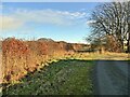 Slamannan end of the L&NER line to Bo