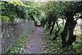 Firhill Lane towards Sunnybank Park, Aberdeen