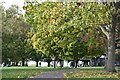 The top of the hill, Hilly Fields Park